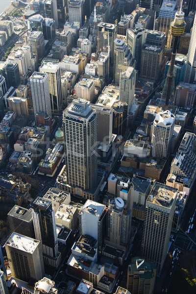 Sydney Australië wolkenkrabbers luchtfoto centrum stedelijke Stockfoto © iofoto