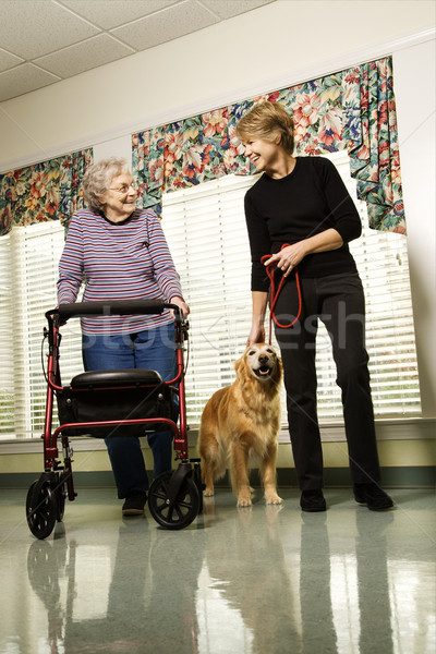 Frau leben ältere Fuß Stock foto © iofoto