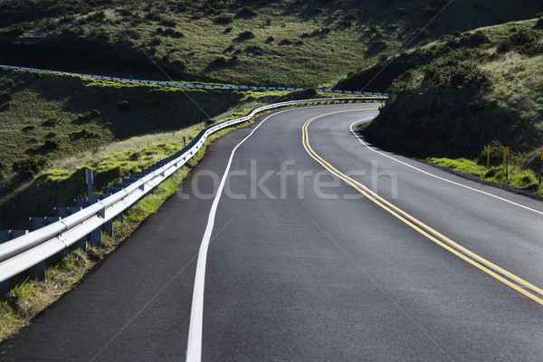 Road in Haleakala, Maui. Stock photo © iofoto