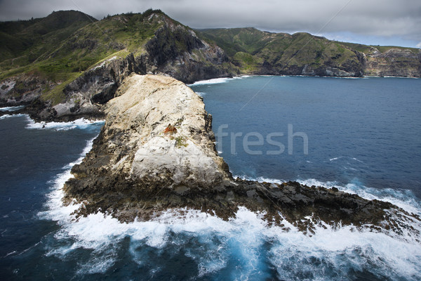 Rocky Hawaiian coast. Stock photo © iofoto