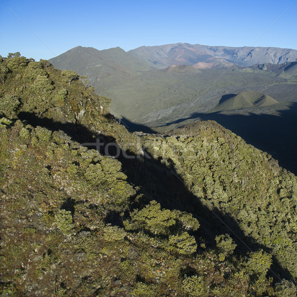 Stock photo: Green Maui mountain.