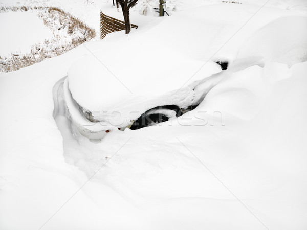 Auto begraben Schnee Himmel home Winter Stock foto © iofoto