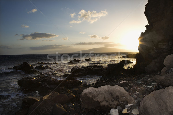 Rocky coast in Maui. Stock photo © iofoto