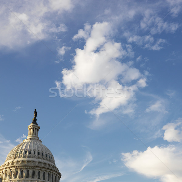 Capitol Building dome. Stock photo © iofoto