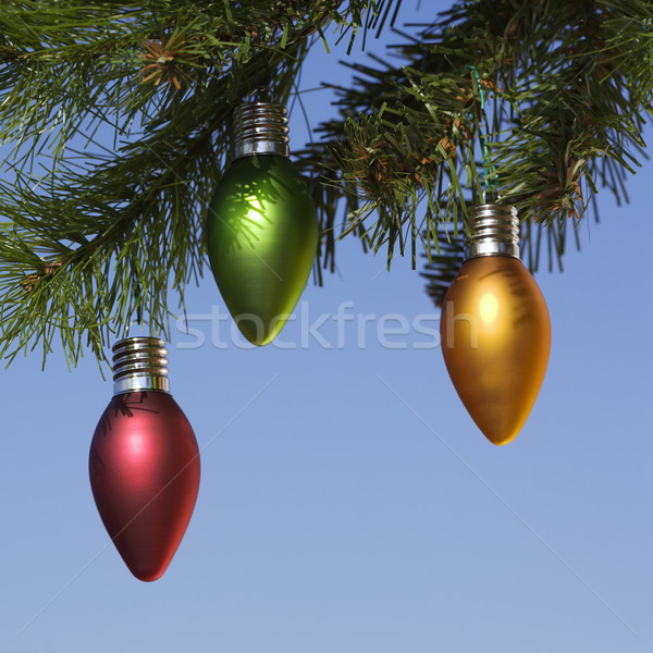 Ornaments on tree. Stock photo © iofoto