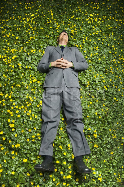 Young Businessman Lying in Flower Patch Stock photo © iofoto