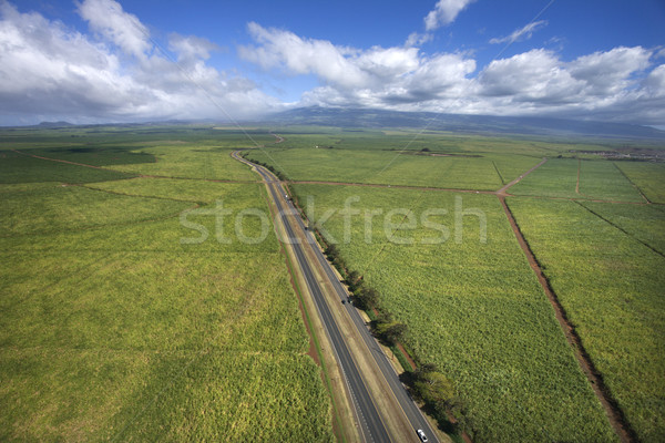 Road through farmland. Stock photo © iofoto