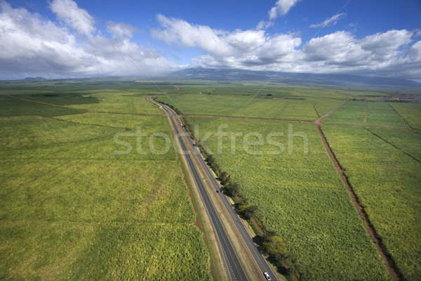 Straße Ackerland Luftbild Felder Landschaft Autobahn Stock foto © iofoto