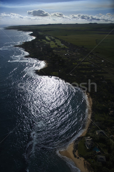 Shoreline in Maui. Stock photo © iofoto