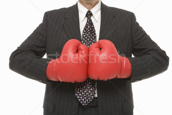 Businessman boxing gloves. Stock photo © iofoto