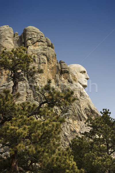 Rushmore hegy profil Washington hegy Dél-Dakota férfi Stock fotó © iofoto