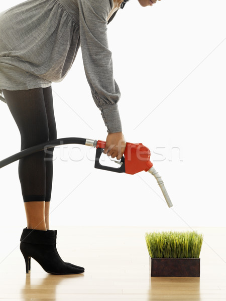 Küresel isınma kadın benzin pompa ağızlık Stok fotoğraf © iofoto