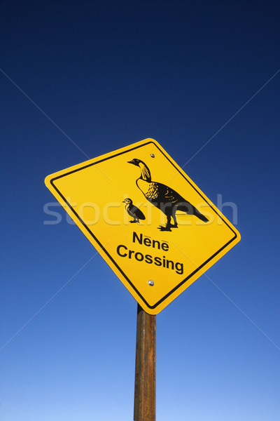 Nene Crossing sign in Maui, Hawaii. Stock photo © iofoto
