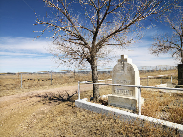 Headstone in cemetery. Stock photo © iofoto