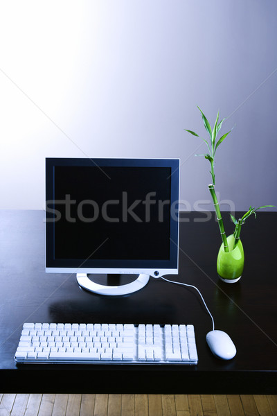 Computer Monitor and Lucky Bamboo Stock photo © iofoto