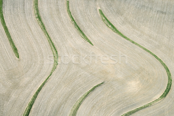 Crop from above. Stock photo © iofoto