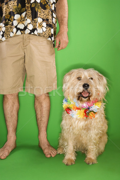 Man with dog wearing lei. Stock photo © iofoto