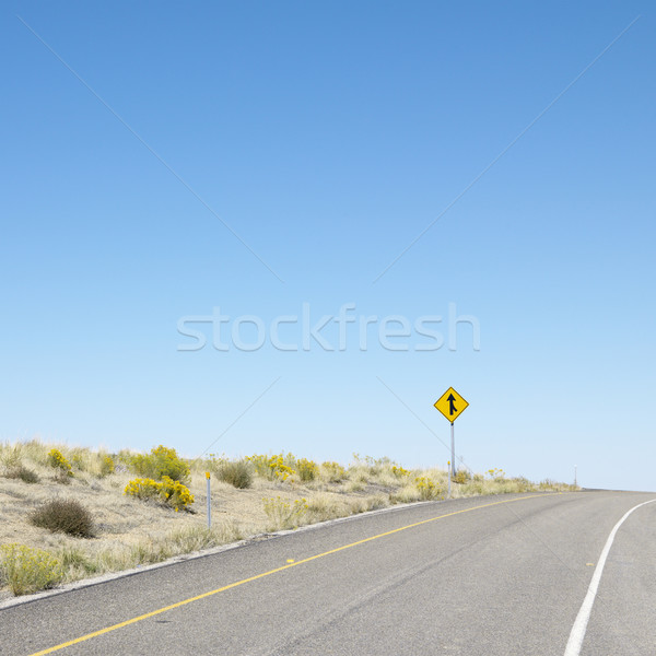 Road into horizon. Stock photo © iofoto