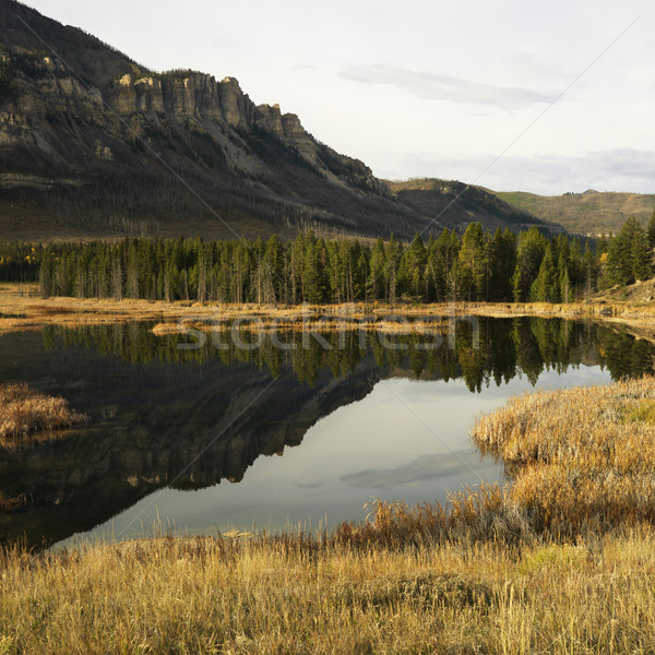 Wyoming mountain landscape. Stock photo © iofoto
