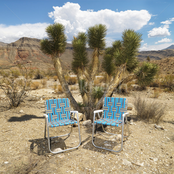Vide chaises désert pelouse paysage [[stock_photo]] © iofoto