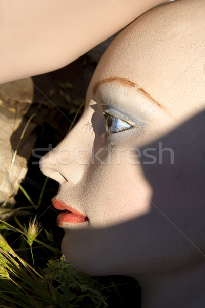 Old mannequin face on ground. Stock photo © iofoto