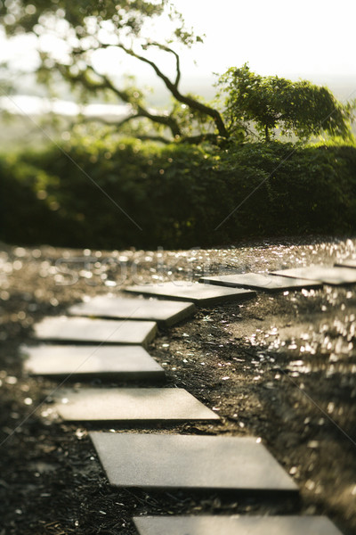 花園 路徑 禿 頭 島 北卡羅萊納州 商業照片 © iofoto