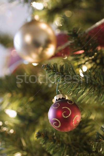Christmas tree ornaments. Stock photo © iofoto