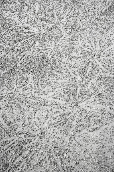 Pattern in sand. Stock photo © iofoto