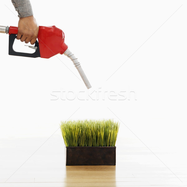 Grünen Benzin Frau halten pumpen Düse Stock foto © iofoto