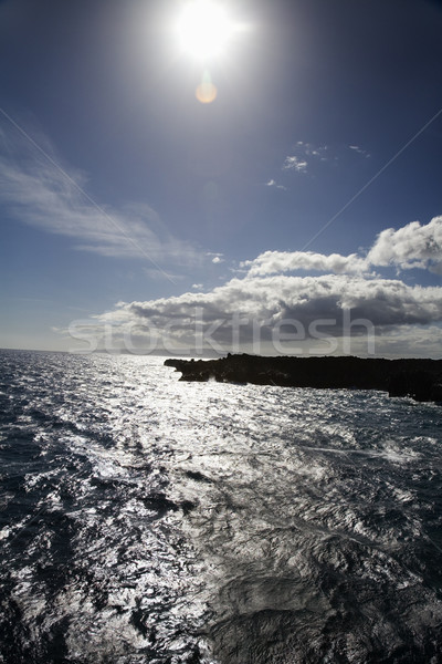 Maui, Hawaii coast. Stock photo © iofoto
