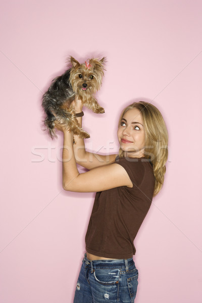Nő Yorkshire terrier kutya kaukázusi fiatal felnőtt Stock fotó © iofoto