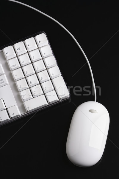 Mysz komputerowa klawiatury czarny kolor kontroli Zdjęcia stock © iofoto