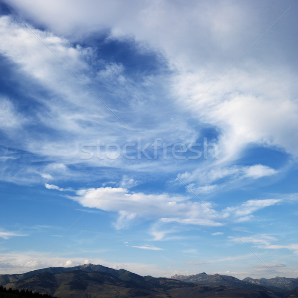 Sky with clouds. Stock photo © iofoto