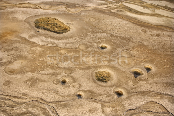 Desert landscape. Stock photo © iofoto