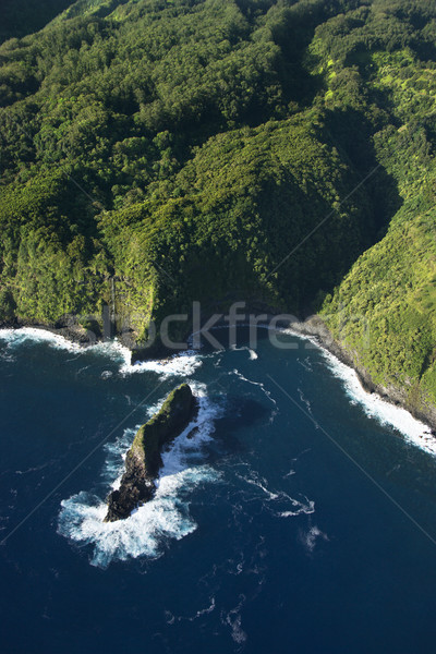 Aerial of Maui coast. Stock photo © iofoto