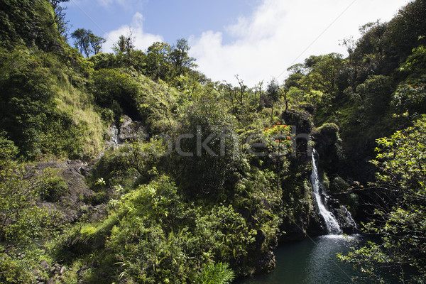 Waterfall in Maui, Hawaii. Stock photo © iofoto