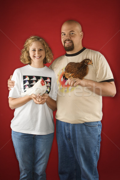 Couple holding chickens. Stock photo © iofoto
