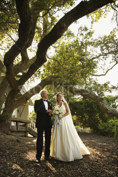 Bride and groom. Stock photo © iofoto
