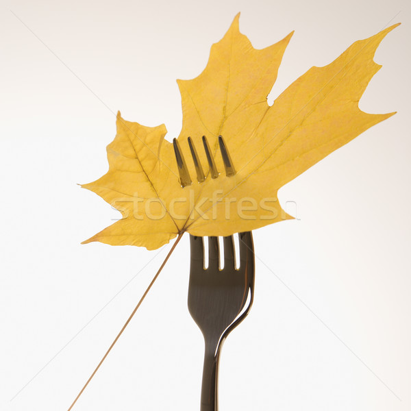 Esdoornblad vork Geel diner natuur blad Stockfoto © iofoto