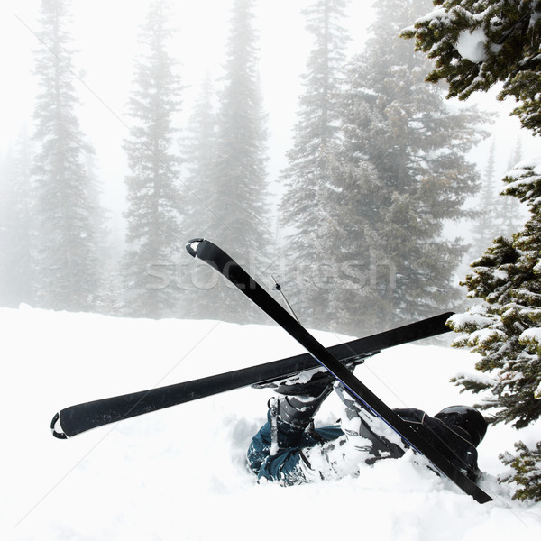 ストックフォト: スキー · 事故 · 雪 · ツリー · クラッシュ · 霧