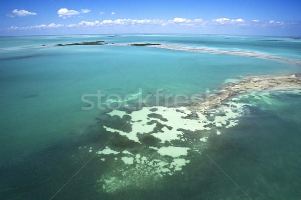 Everglades. Stock photo © iofoto
