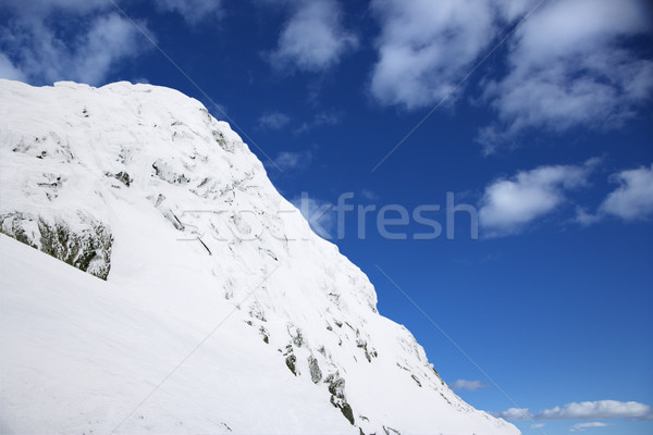 Schnee bedeckt Berghang Natur Berg Reise Stock foto © iofoto