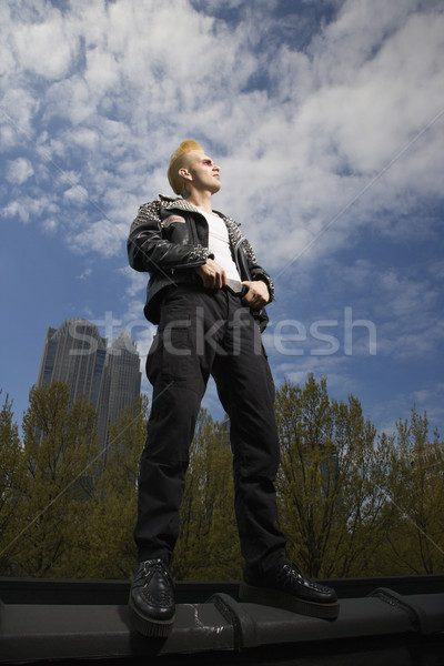 Punk permanente portret kaukasisch mannelijke mannen Stockfoto © iofoto