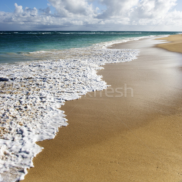 Maui, Hawaii beach. Stock photo © iofoto