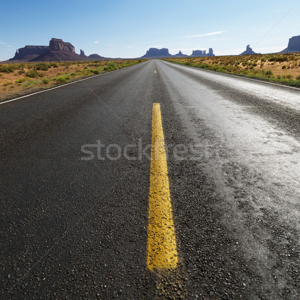Photo stock: Scénique · désert · route · ouvrir · paysage
