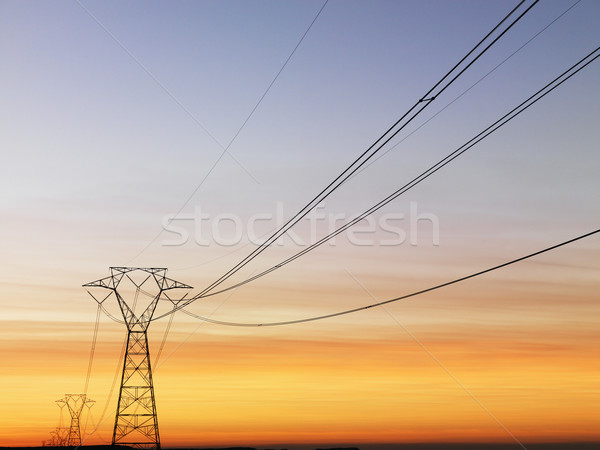 Power Lines at Sunset Stock photo © iofoto