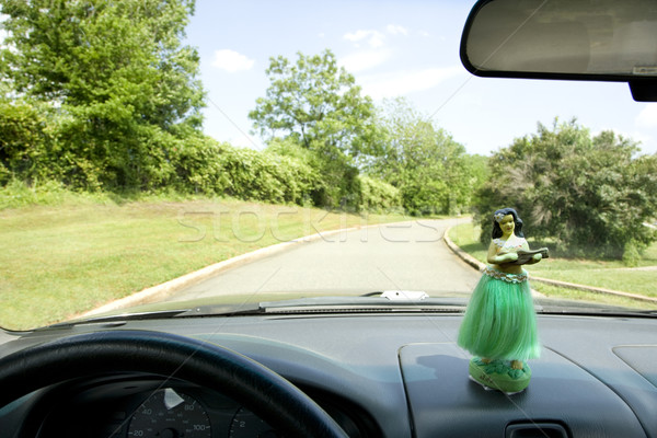 Wnętrza samochodu dziewczyna tablica rozdzielcza drogowego Zdjęcia stock © iofoto