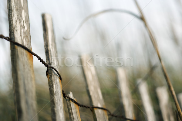 Wooden beach fence. Stock photo © iofoto