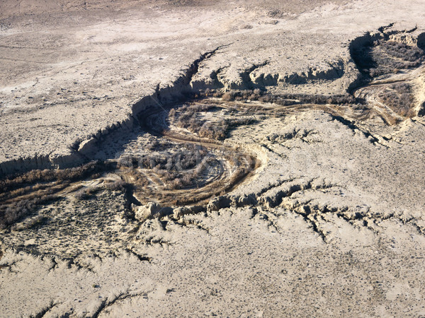 Desert and dry river. Stock photo © iofoto