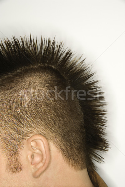 Caucasian man with mohawk. Stock photo © iofoto
